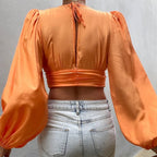 Deep V Plunge Cropped Top